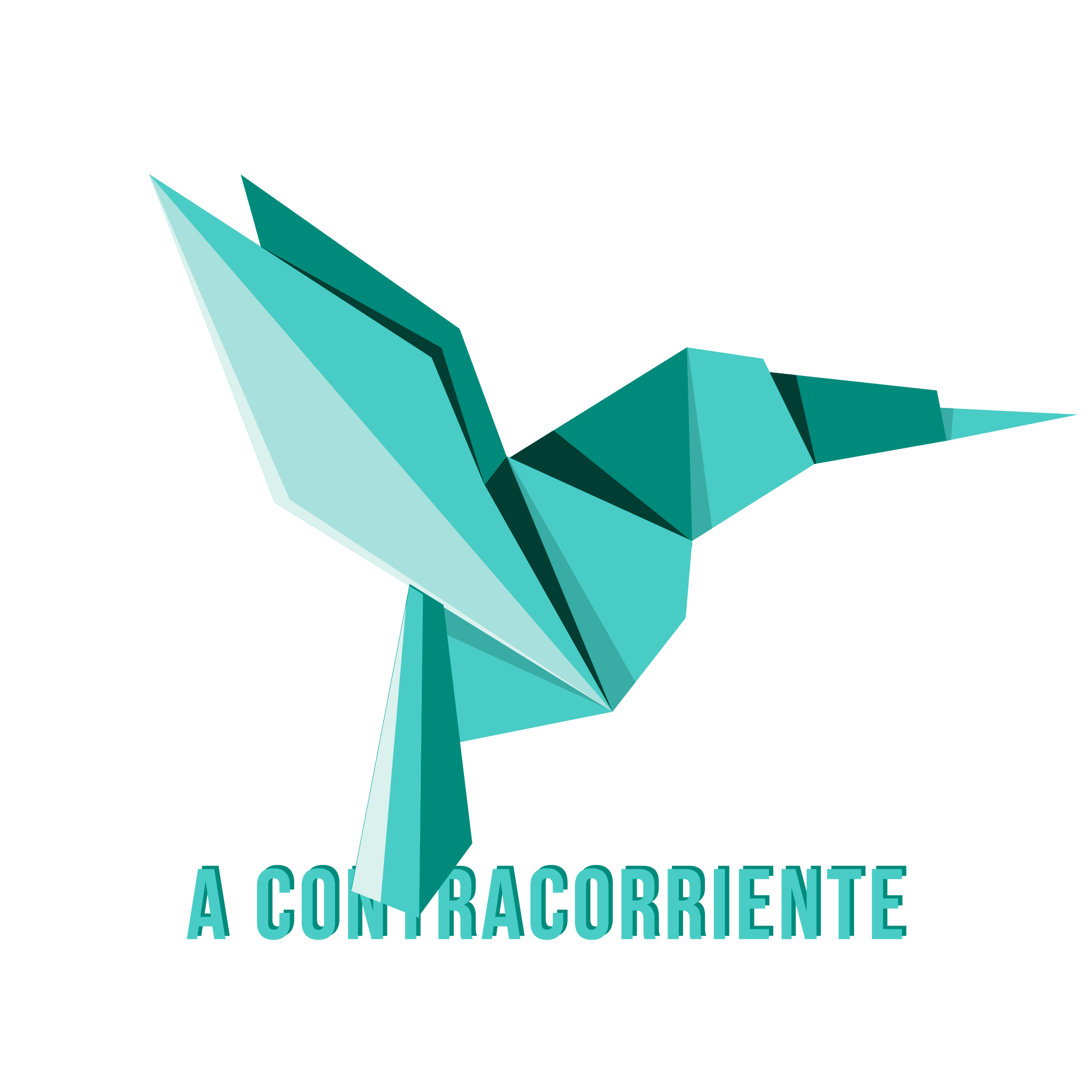 Logo A Contracorriente