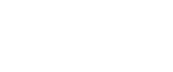 Bloom Capital Logo